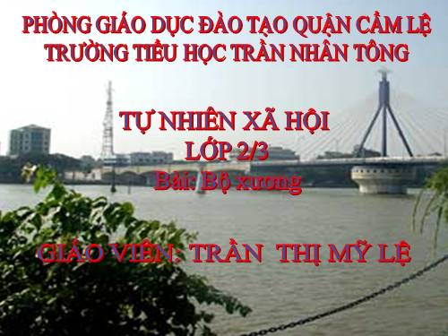 Bài 2. Bộ xương