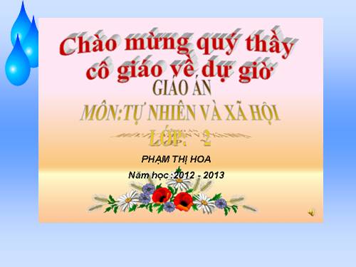 Bài 5. Cơ quan tiêu hoá