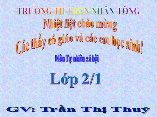 Bài 31. Mặt Trời