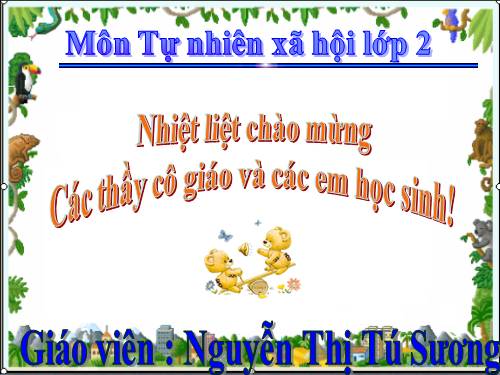 Bài 31. Mặt Trời