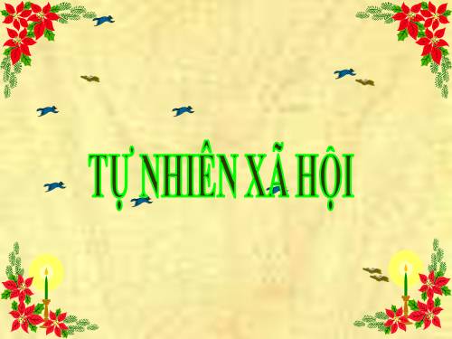 Bài 32. Mặt Trời và phương hướng