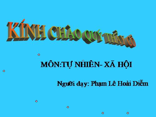 Bài 10. Ôn tập: Con người và sức khoẻ