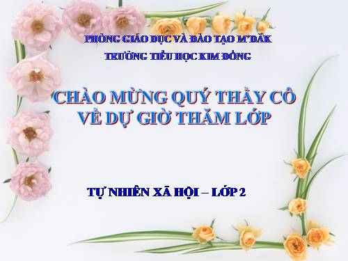 Bài 27. Loài vật sống ở đâu?