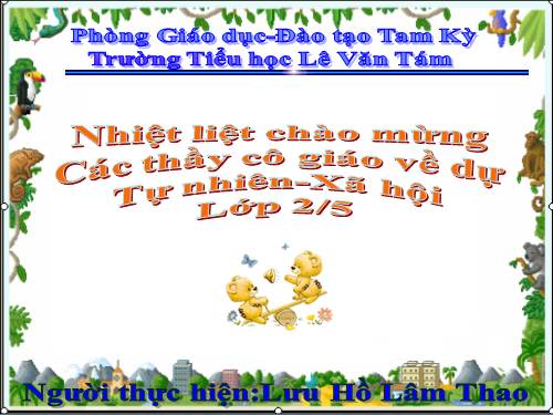 Bài 31. Mặt Trời