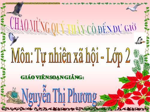 Bài 14. Phòng tránh ngộ độc khi ở nhà