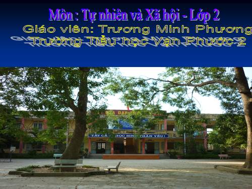 Bài 30. Nhận biết cây cối và các con vật