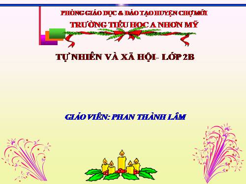 Bài 30. Nhận biết cây cối và các con vật