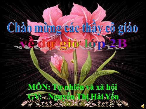 Bài 28. Một số loài vật sống trên cạn