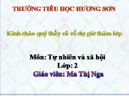 Bài 26. Một số loài cây sống dưới nước