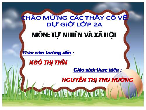 Bài 29. Một số loài vật sống dưới nước