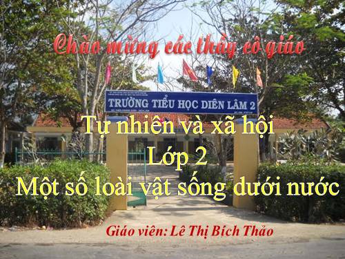 Bài 29. Một số loài vật sống dưới nước