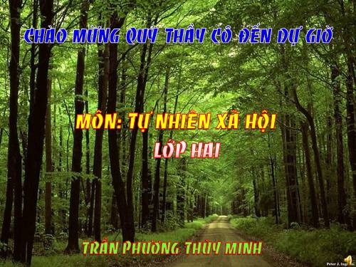 Bài 30. Nhận biết cây cối và các con vật