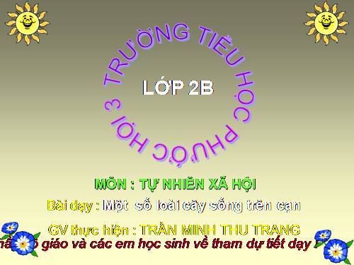 Bài 25. Một số loài cây sống trên cạn
