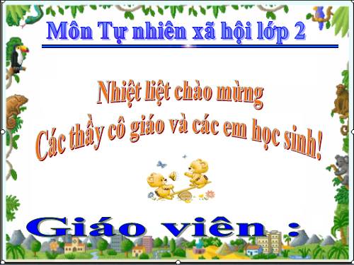 Bài 31. Mặt Trời