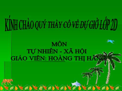 Bài 24. Cây sống ở đâu?