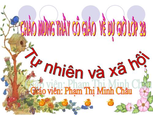 Bài 21. Cuộc sống xung quanh