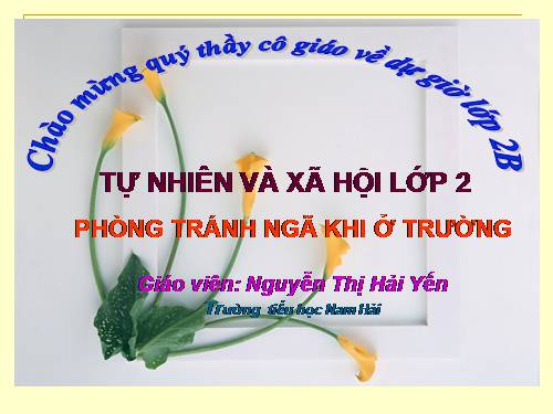 Bài 17. Phòng tránh ngã khi ở trường