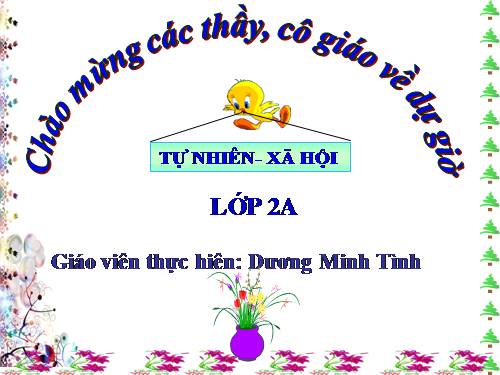 Bài 26. Một số loài cây sống dưới nước