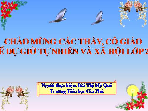 Bài 31. Mặt Trời