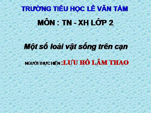 Bài 28. Một số loài vật sống trên cạn