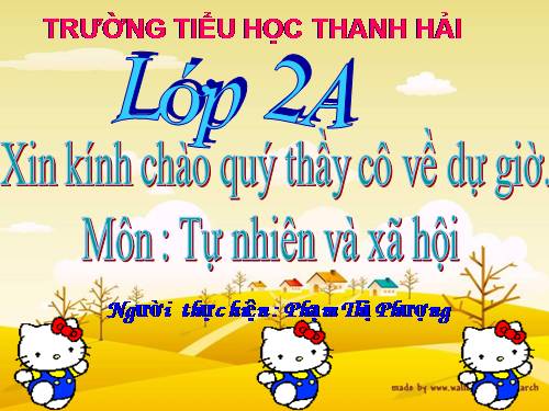 Bài 24. Cây sống ở đâu?