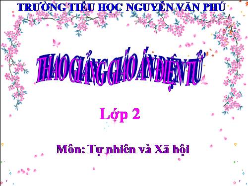 Bài 12. Đồ dùng trong gia đình