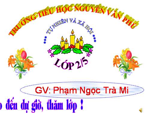 Bài 9. Đề phòng bệnh giun