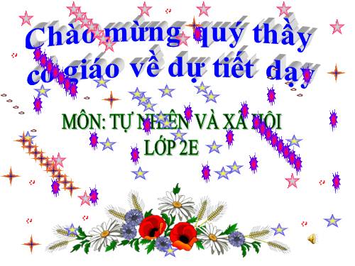 Bài 27. Loài vật sống ở đâu?