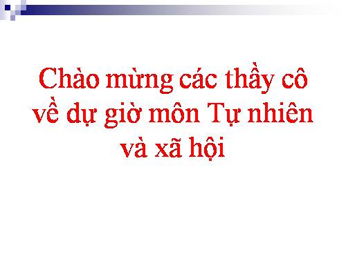 Bài 20. An toàn khi đi các phương tiện giao thông