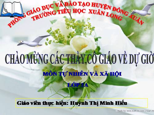 Bài 12. Đồ dùng trong gia đình
