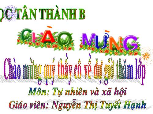 Bài 25. Một số loài cây sống trên cạn