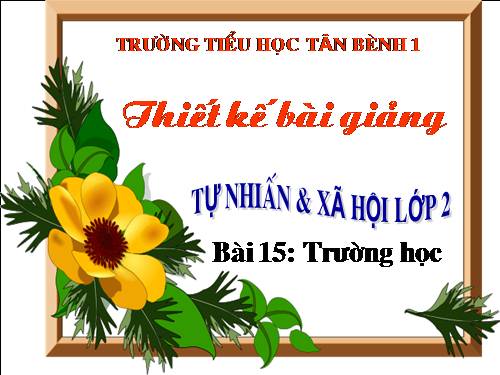 Bài 15. Trường học