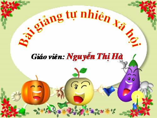 Bài 28. Một số loài vật sống trên cạn