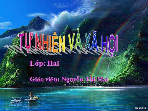 Bài 29. Một số loài vật sống dưới nước
