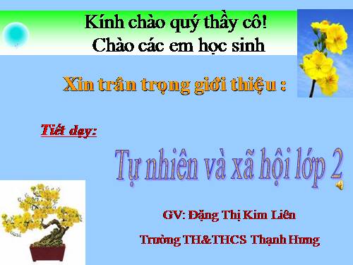 Bài 29. Một số loài vật sống dưới nước