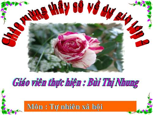 Bài 29. Một số loài vật sống dưới nước