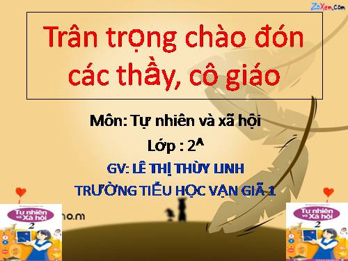 Bài 6. Tiêu hoá thức ăn