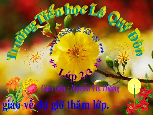 Bài 26. Một số loài cây sống dưới nước