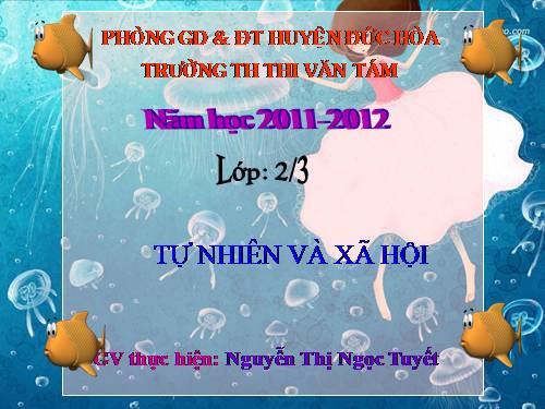 Bài 29. Một số loài vật sống dưới nước