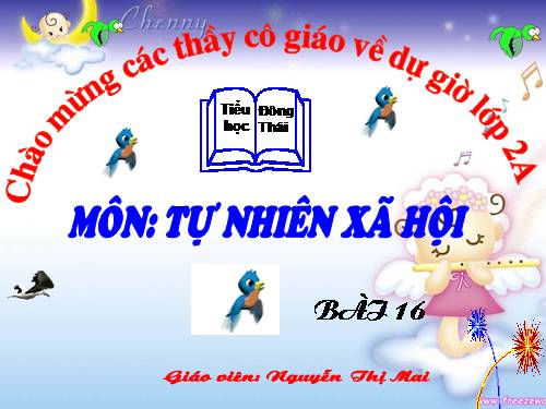Bài 16. Các thành viên trong nhà trường