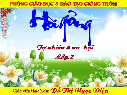 Bài 24. Cây sống ở đâu?