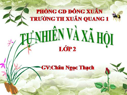 Bài 12. Đồ dùng trong gia đình