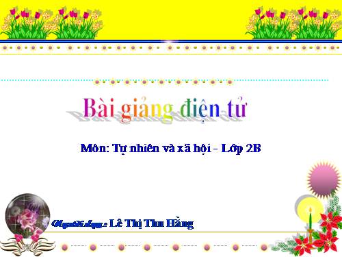 Bài 24. Cây sống ở đâu?