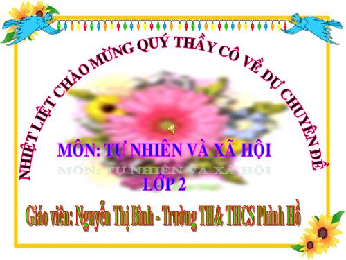 Bài 11. Gia đình