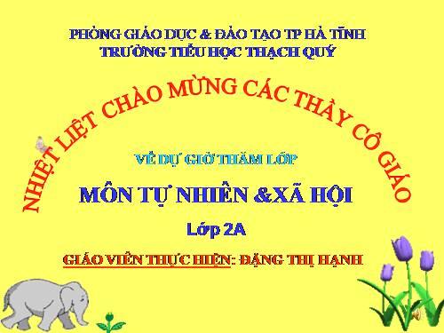 Bài 24. Cây sống ở đâu?