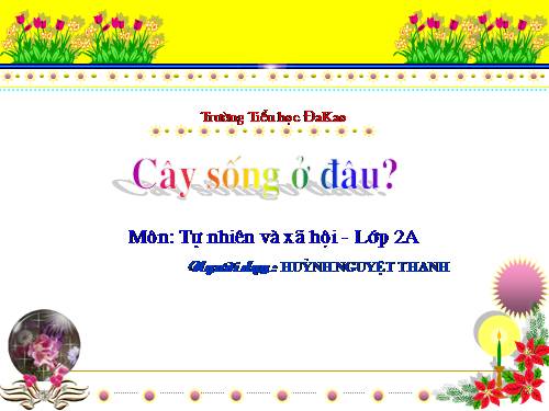 Bài 24. Cây sống ở đâu?