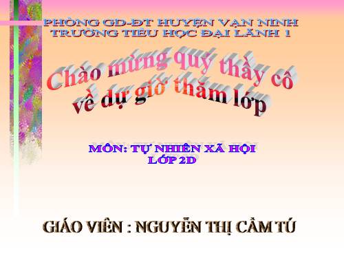Bài 10. Ôn tập: Con người và sức khoẻ