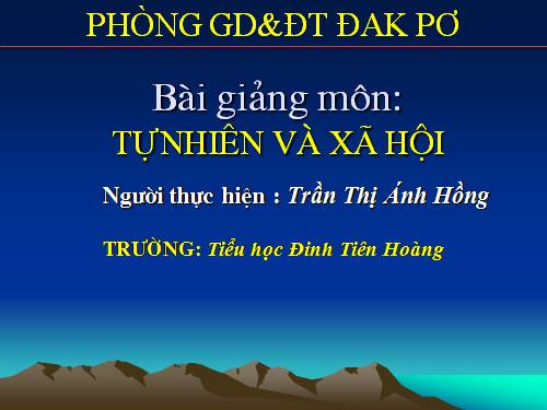 Bài 30. Nhận biết cây cối và các con vật