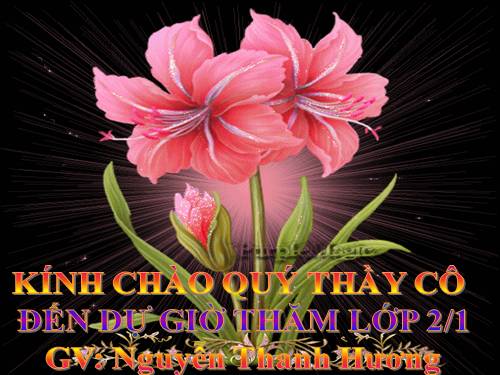 Bài 21. Cuộc sống xung quanh