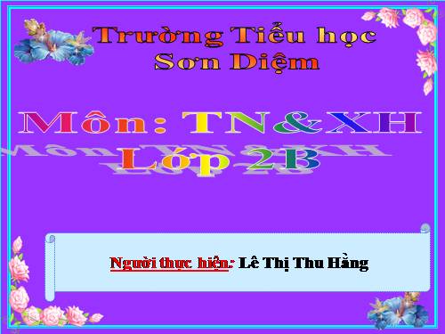 Bài 22. Cuộc sống xung quanh (tiếp theo)